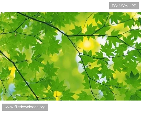 凯发国际入口助力推动行业规范发展,打造绿色健康的博彩环境